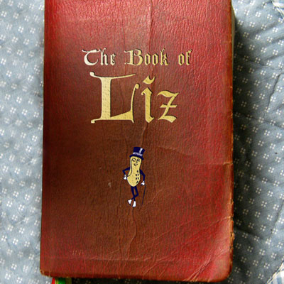 Book of Liz